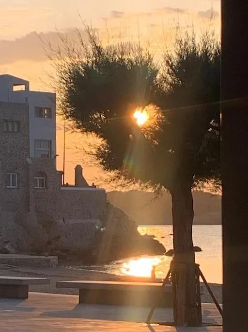 Сasa de vacaciones La Casa De L'Escala - Maison Typique Renovee Dans La Vieille Ville